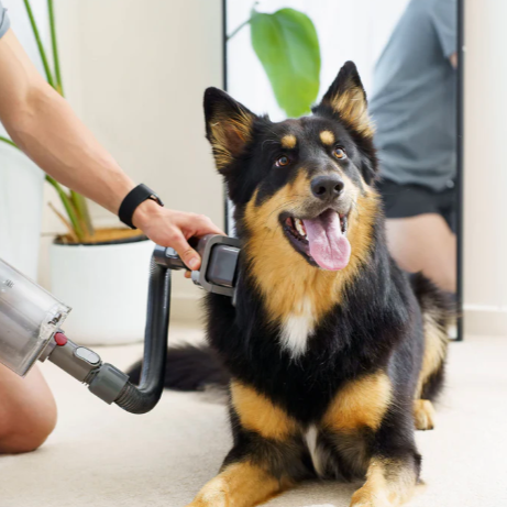 Pup Supreme Grooming Set For Dyson Cordless Vacuums