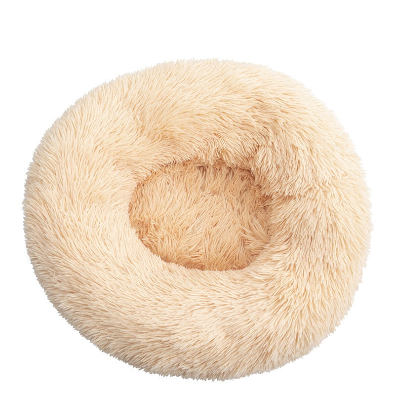 Donut Mand Dog Accessories for Large Dogs and Cat