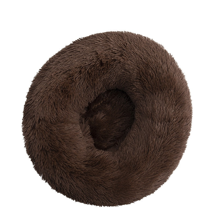 Donut Mand Dog Accessories for Large Dogs and Cat