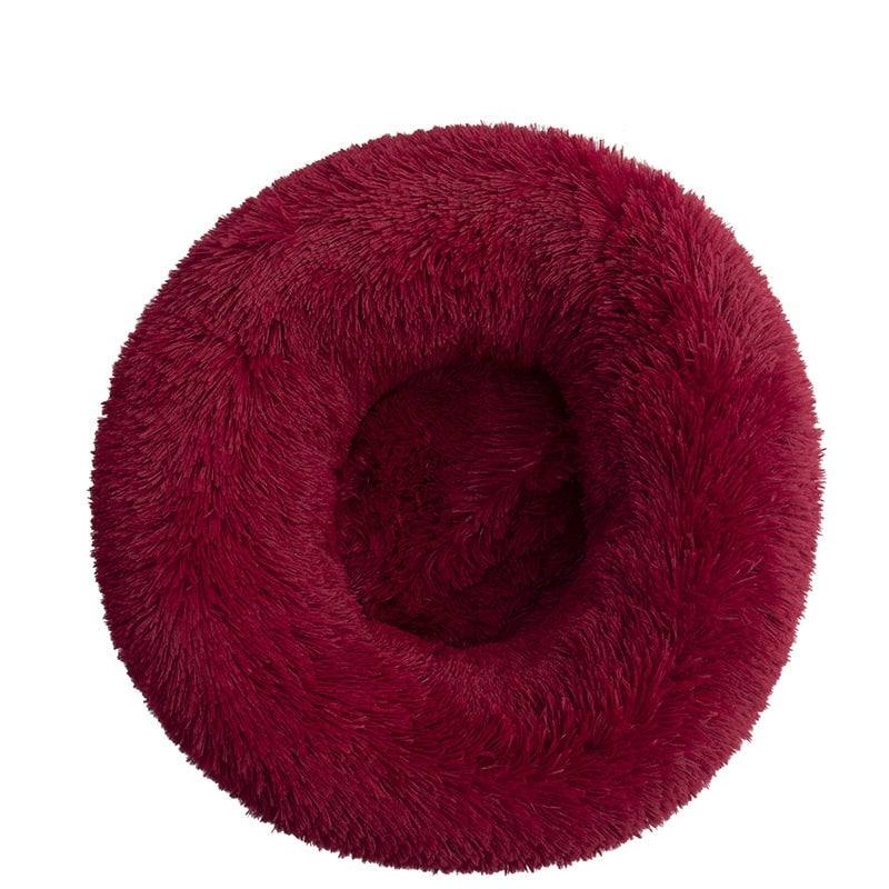 Donut Mand Dog Accessories for Large Dogs and Cat