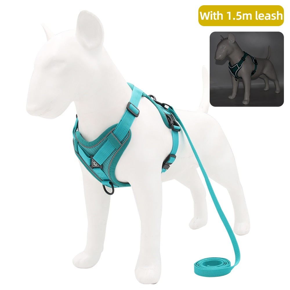 Adjustable Reflective Traction Leash Set