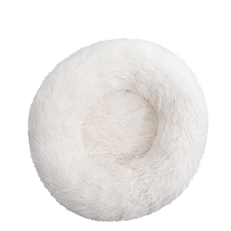 Donut Mand Dog Accessories for Large Dogs and Cat