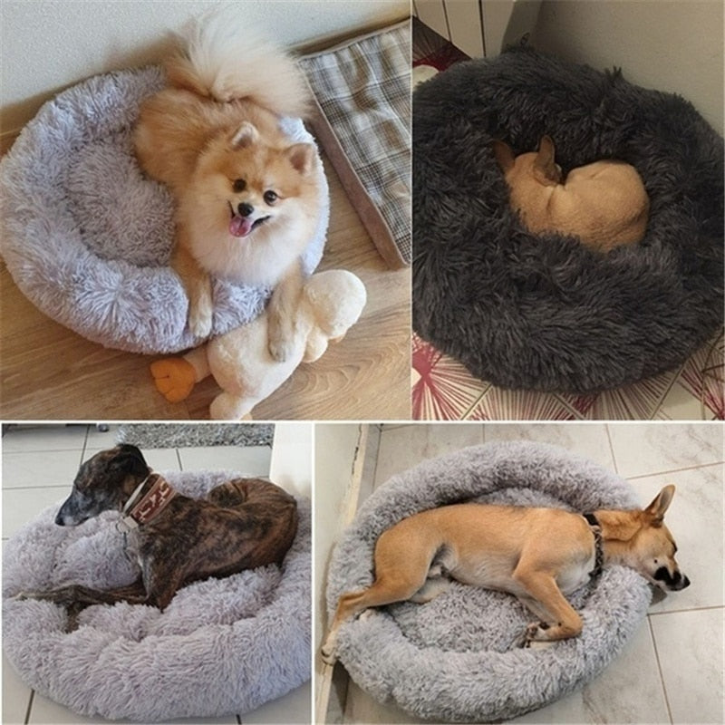Donut Mand Dog Accessories for Large Dogs and Cat