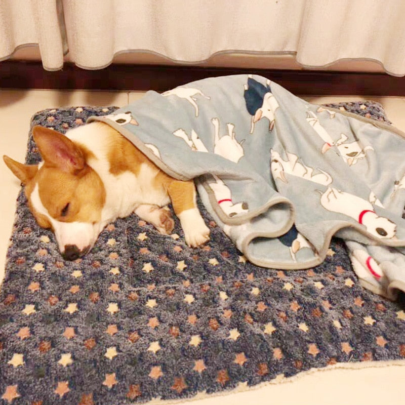 Dog Bed Thickened Dog Mat