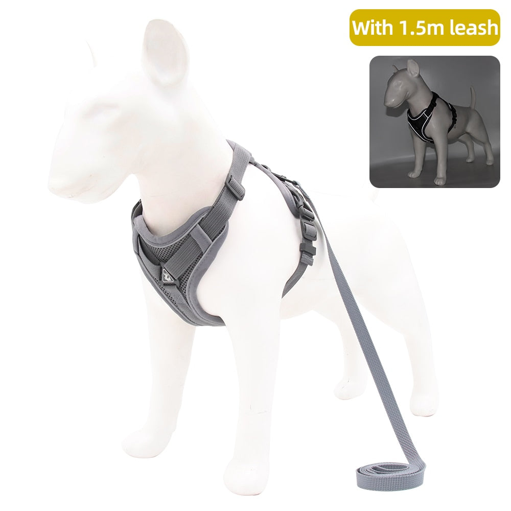 Adjustable Reflective Traction Leash Set