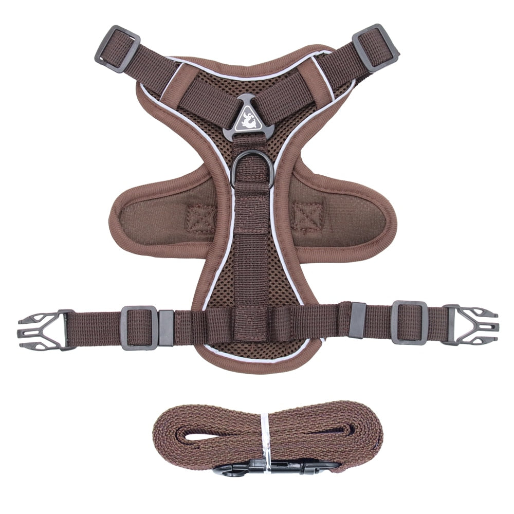 Adjustable Reflective Traction Leash Set
