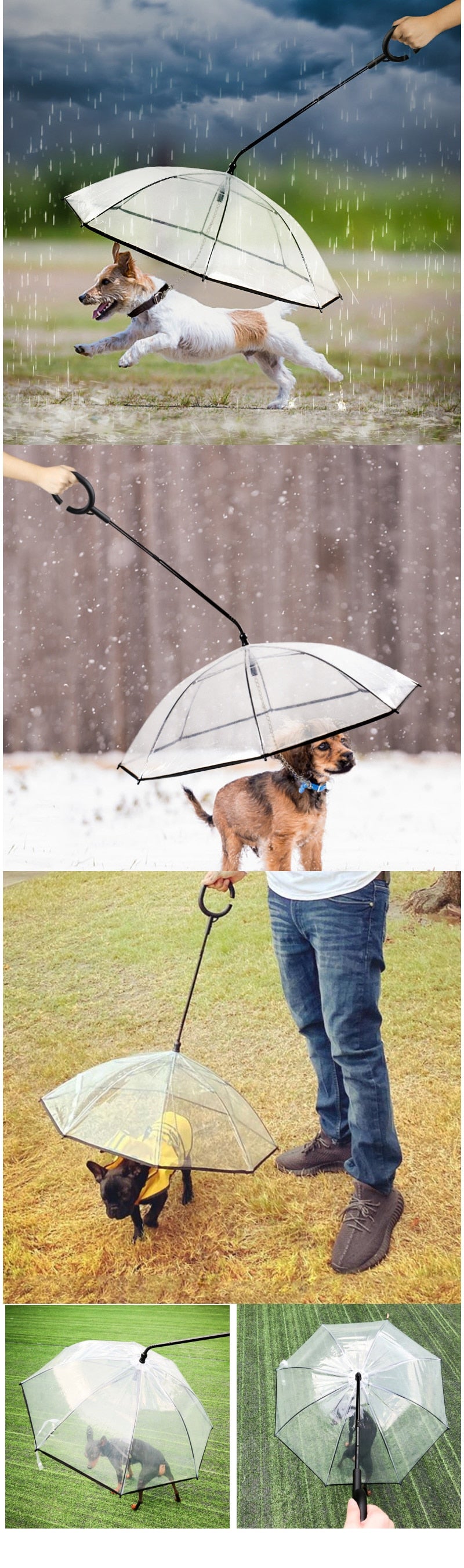 Pet Dog Transparent Umbrella