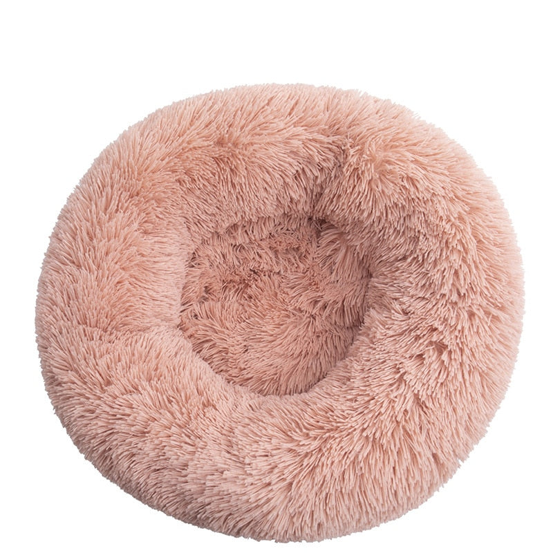 Donut Mand Dog Accessories for Large Dogs and Cat