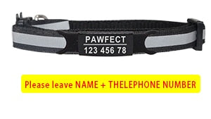Reflective Cat Safety Buckle Collar Adjustable Custom Personalized ID