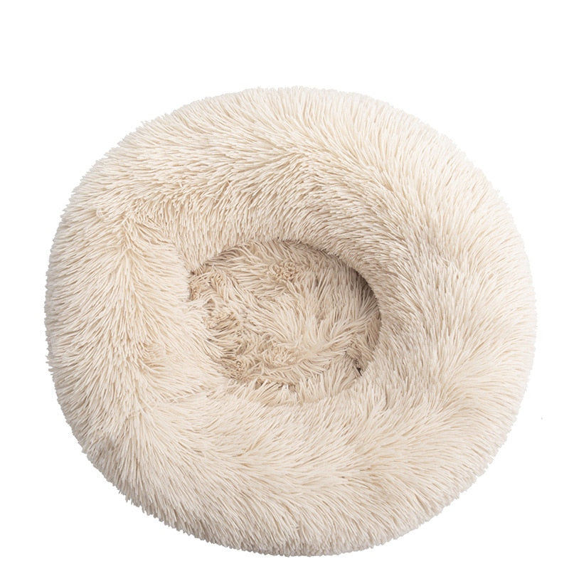Donut Mand Dog Accessories for Large Dogs and Cat