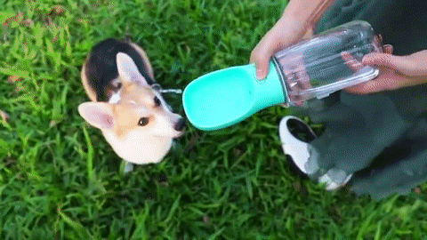 Portable Pet Multifunction Water Bottle
