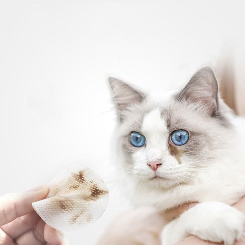 Pet Eyes Wipes