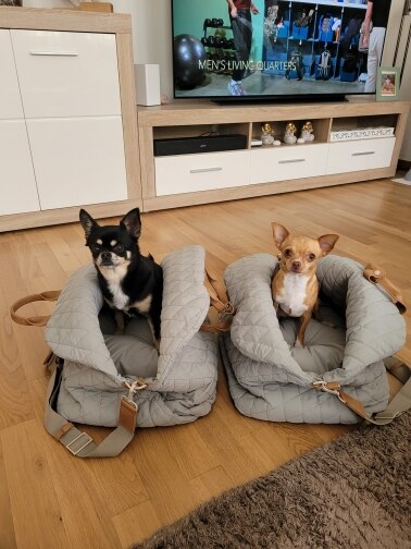 DoggoLuxe - Premium Luxury On-The-Go Dog Carrie