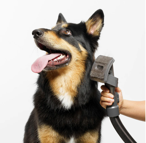 Pup Supreme Grooming Set For Dyson Cordless Vacuums