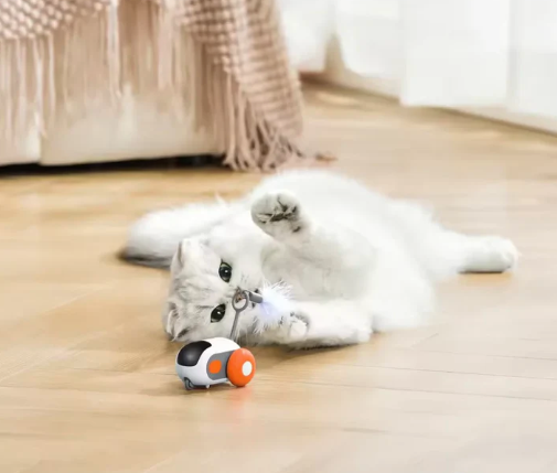ZoomTail™- Interactive Pet Racer