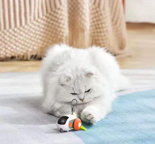 ZoomTail™- Interactive Pet Racer