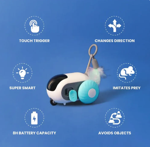 ZoomTail™- Interactive Pet Racer
