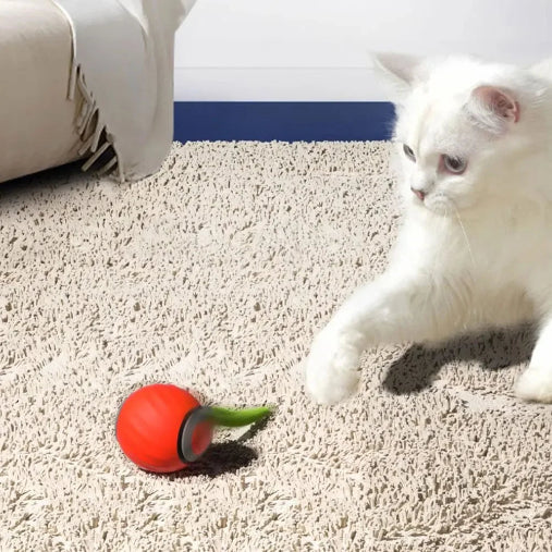 TwistTail™Interactive Pet Toy Ball USB Rechargeable Automatic Moving Rolling Ball