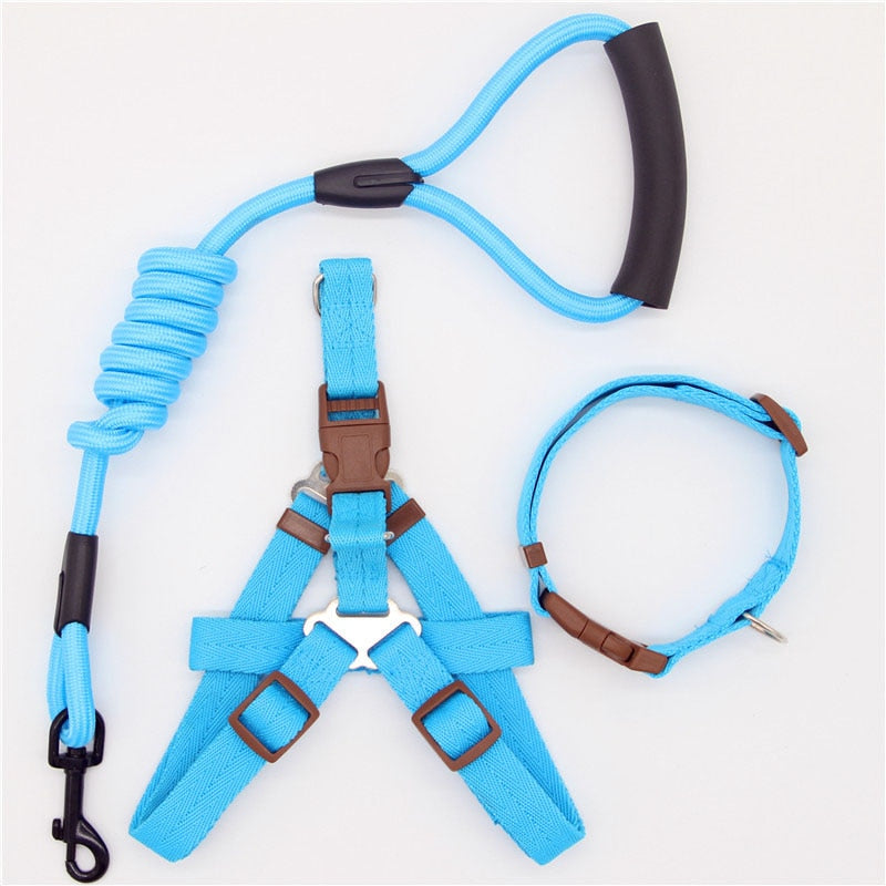 Leash Running Or Training Dog Collar