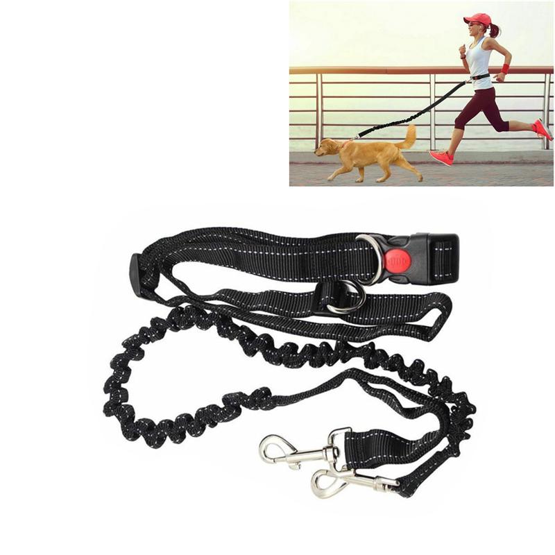 Hands Free Running Dog Lead Leash