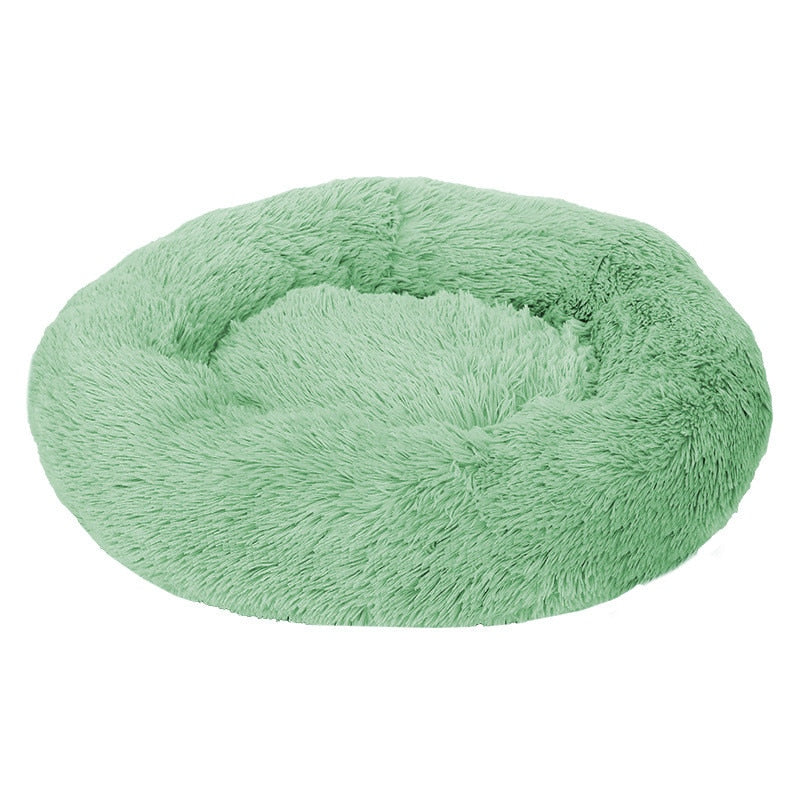 Donut Mand Dog Accessories for Large Dogs and Cat