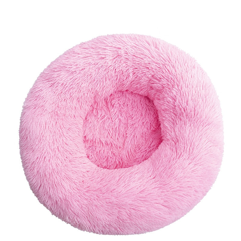 Donut Mand Dog Accessories for Large Dogs and Cat