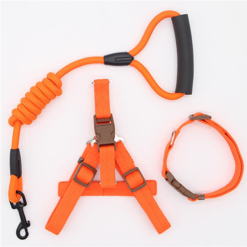 Leash Running Or Training Dog Collar