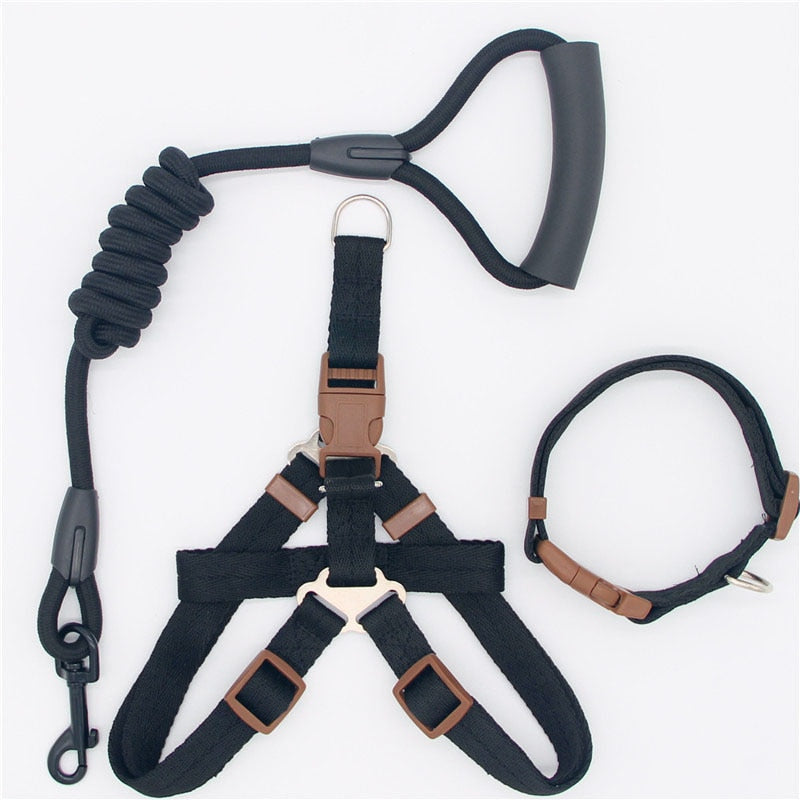Leash Running Or Training Dog Collar