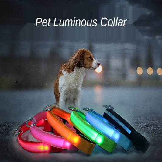USB Rechargeable Pet Dog LED Collar