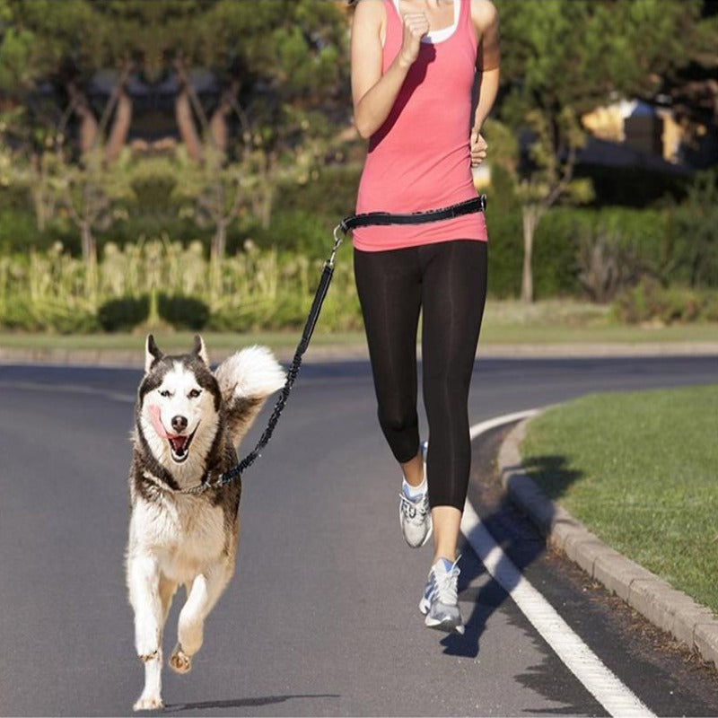 Hands Free Running Dog Lead Leash