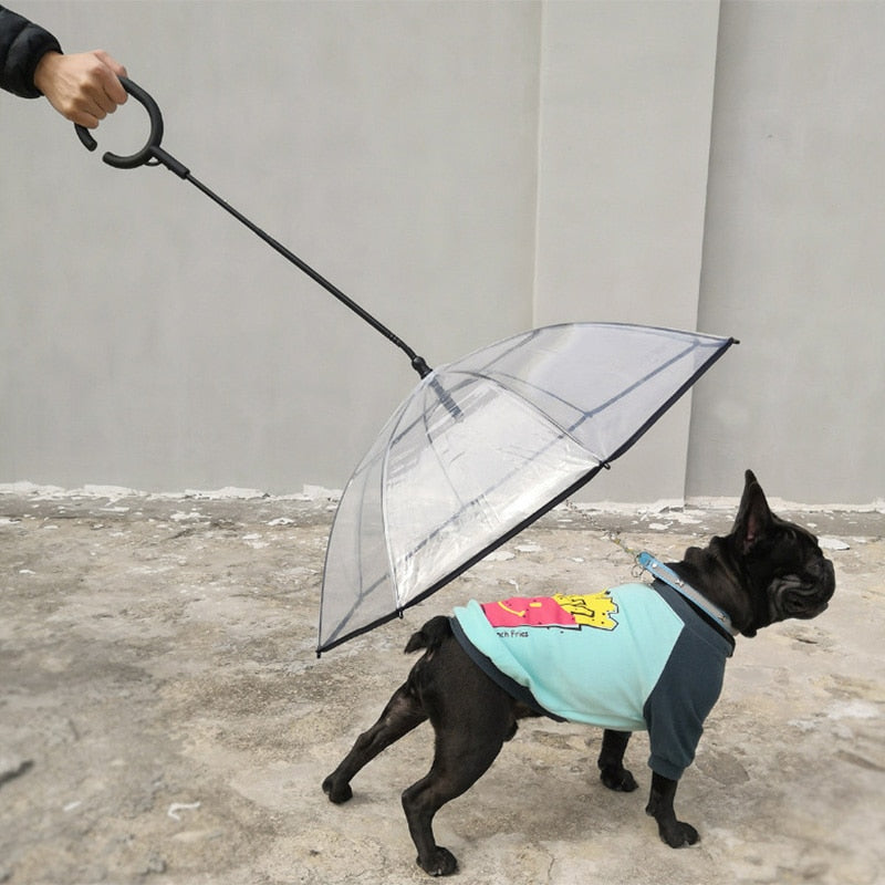 Pet Dog Transparent Umbrella