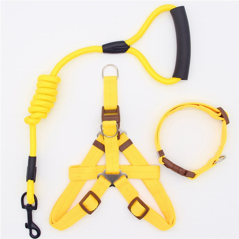 Leash Running Or Training Dog Collar