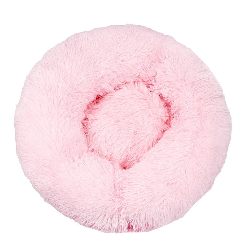 Donut Mand Dog Accessories for Large Dogs and Cat
