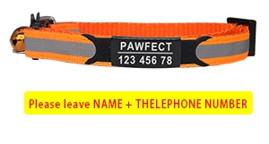 Reflective Cat Safety Buckle Collar Adjustable Custom Personalized ID
