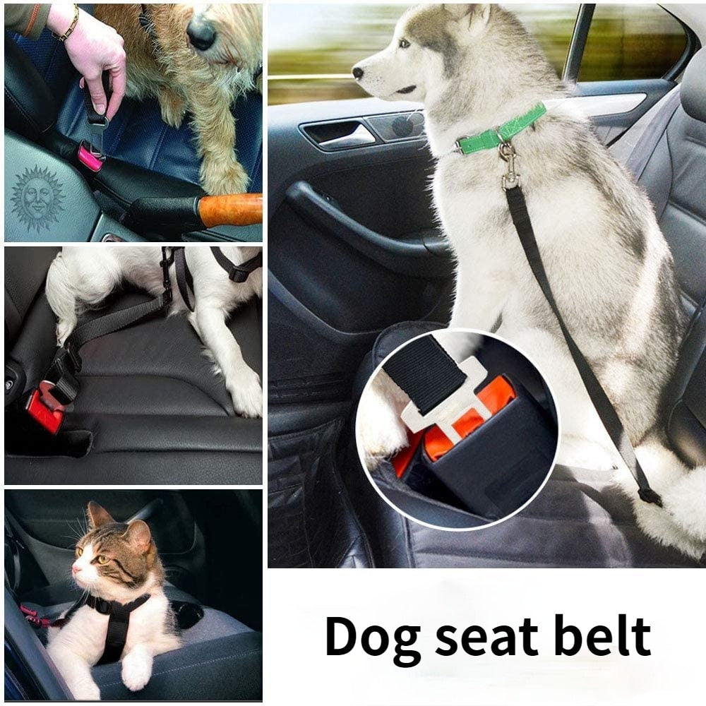 Adjustable Pet Car Seat Belt Collar