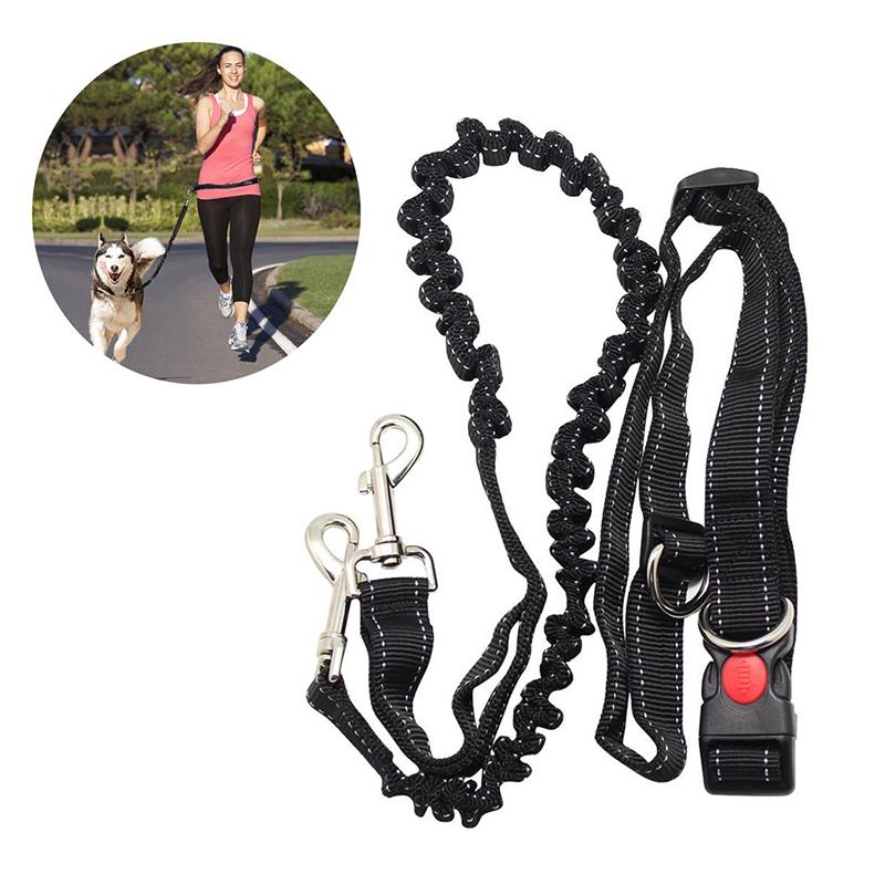 Hands Free Running Dog Lead Leash
