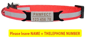 Reflective Cat Safety Buckle Collar Adjustable Custom Personalized ID