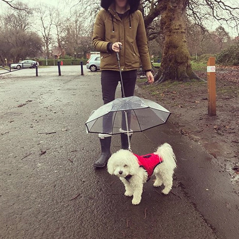 Pet Dog Transparent Umbrella