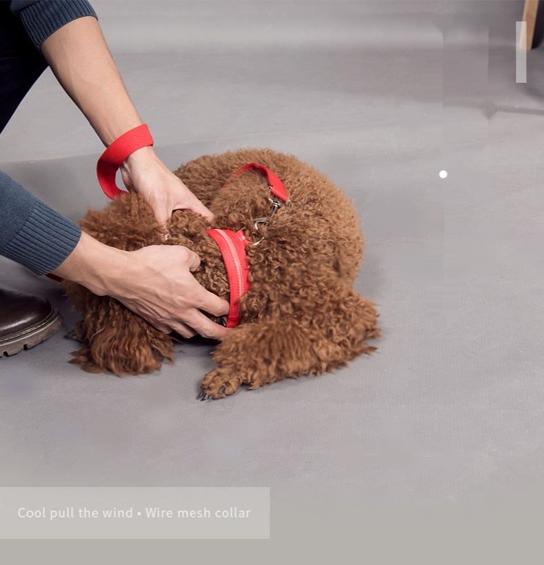 USB Rechargeable Pet Dog LED Collar