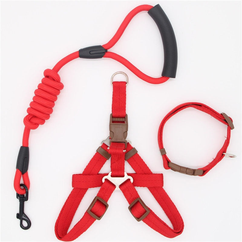 Leash Running Or Training Dog Collar