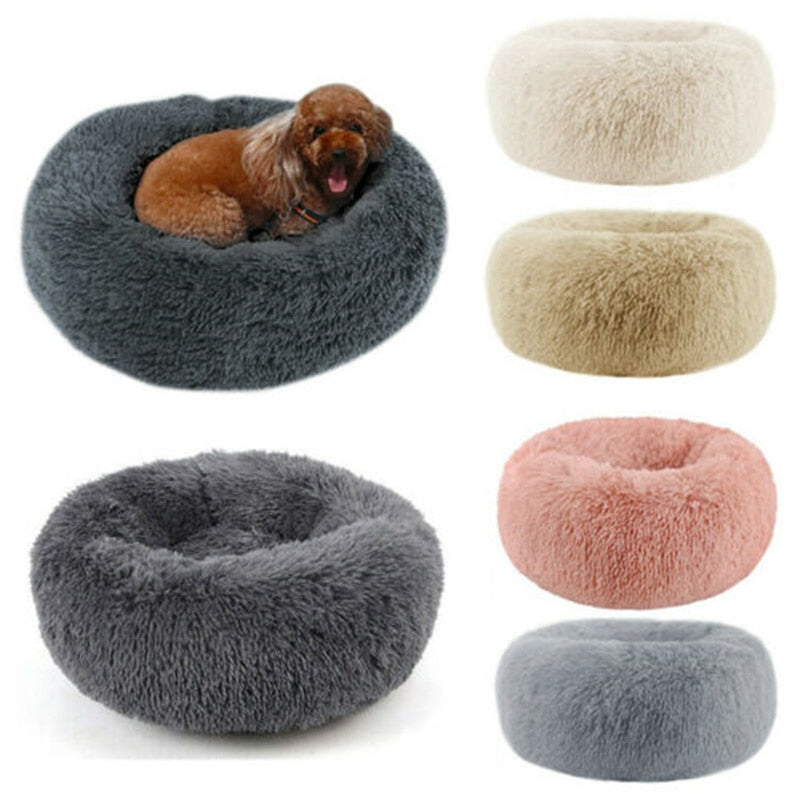 Donut Mand Dog Accessories for Large Dogs and Cat