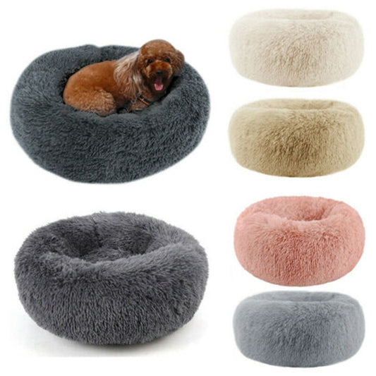 Donut Mand Dog Accessories for Large Dogs and Cat