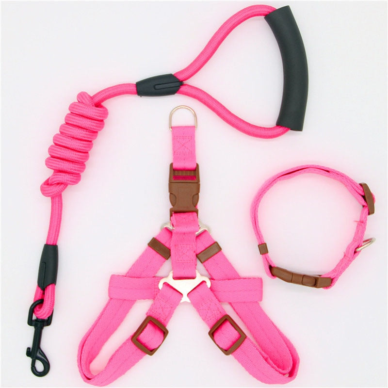 Leash Running Or Training Dog Collar