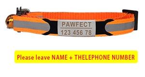 Reflective Cat Safety Buckle Collar Adjustable Custom Personalized ID
