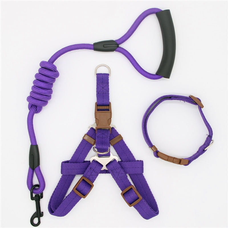 Leash Running Or Training Dog Collar
