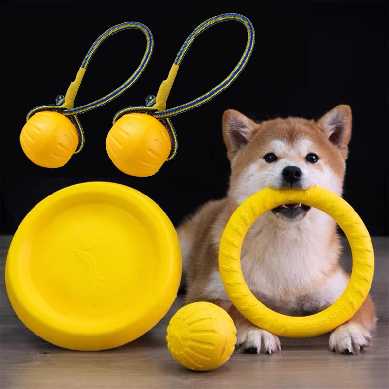 Pet Flying Training Ring