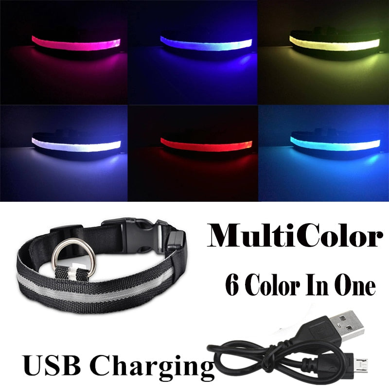 USB Rechargeable Pet Dog LED Collar