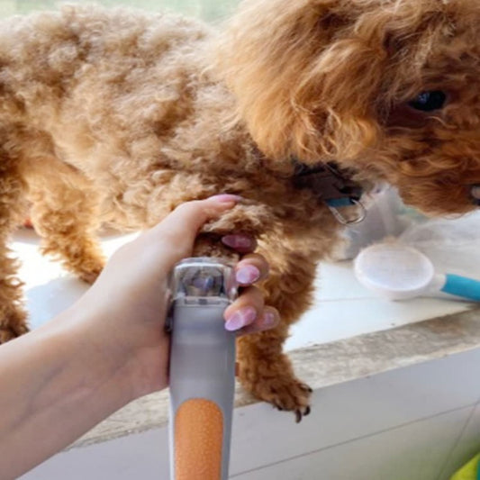 Professional Pet Nail Clipper Scissors