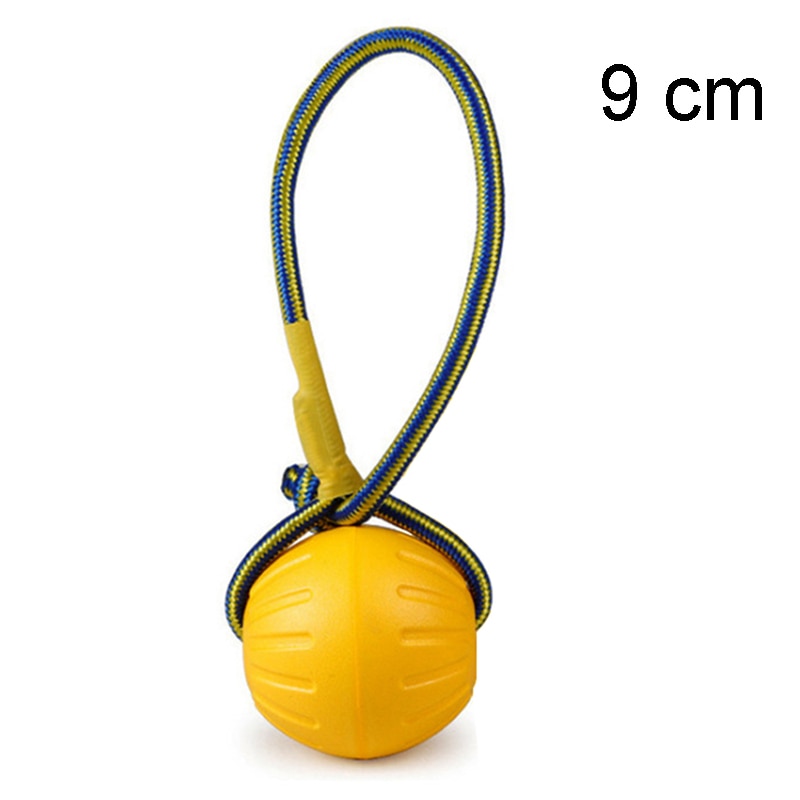 Pet Flying Training Ring