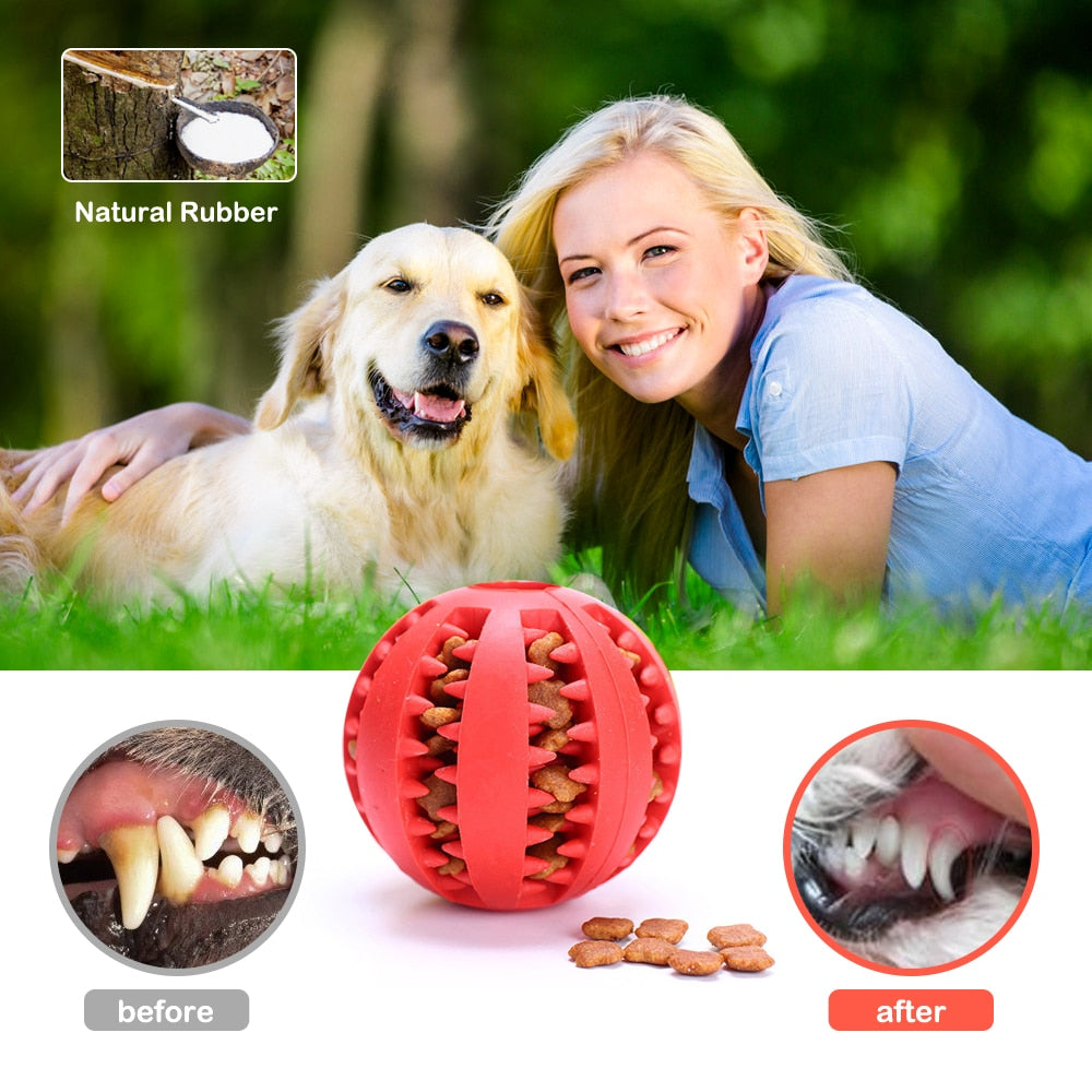 Pet Dog Toy Interactive Rubber Balls for Small Large Dogs Puppy Cat